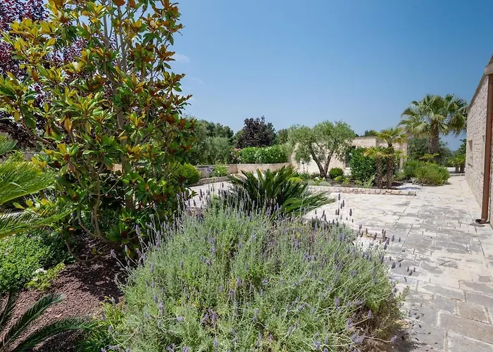 Cavaliere مارتينا فرانكا