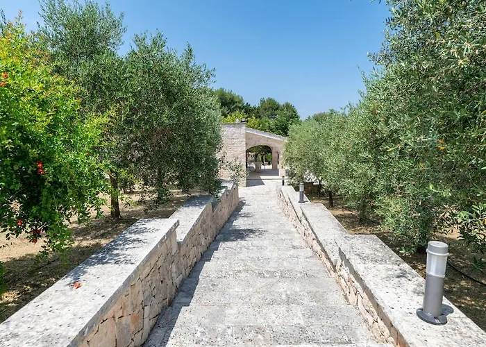 Cavaliere فيلة *